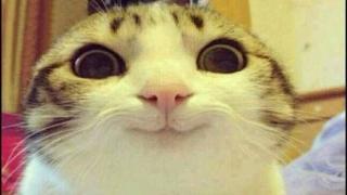 Le plaisir de changer